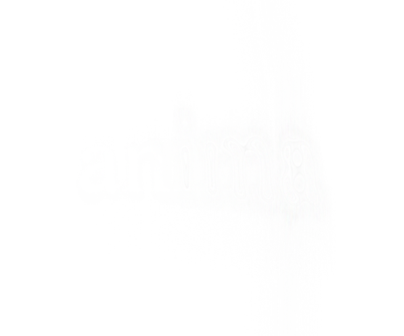 ANIMA-LOGO-WHITE